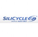 sylicicle1